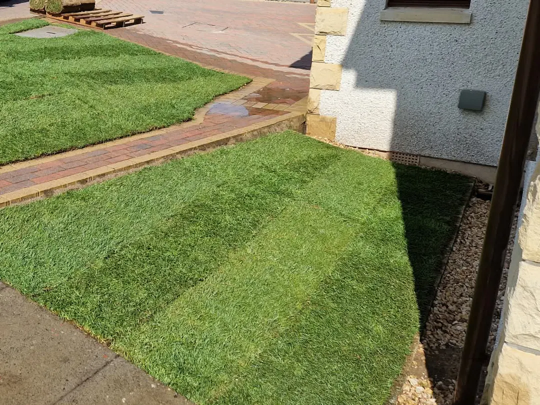 Neatly finished lawn around a front garden and paved path