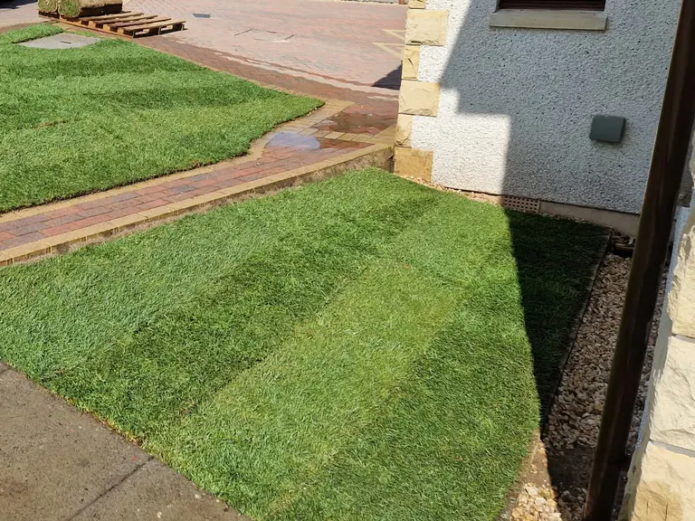 Neatly finished front garden lawn