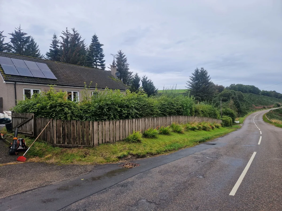 Overgrown hedge above a timber garden fence before hedge trimming