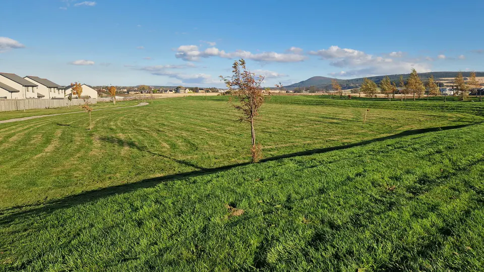 Wide maintained communal grass area with homes along its edge