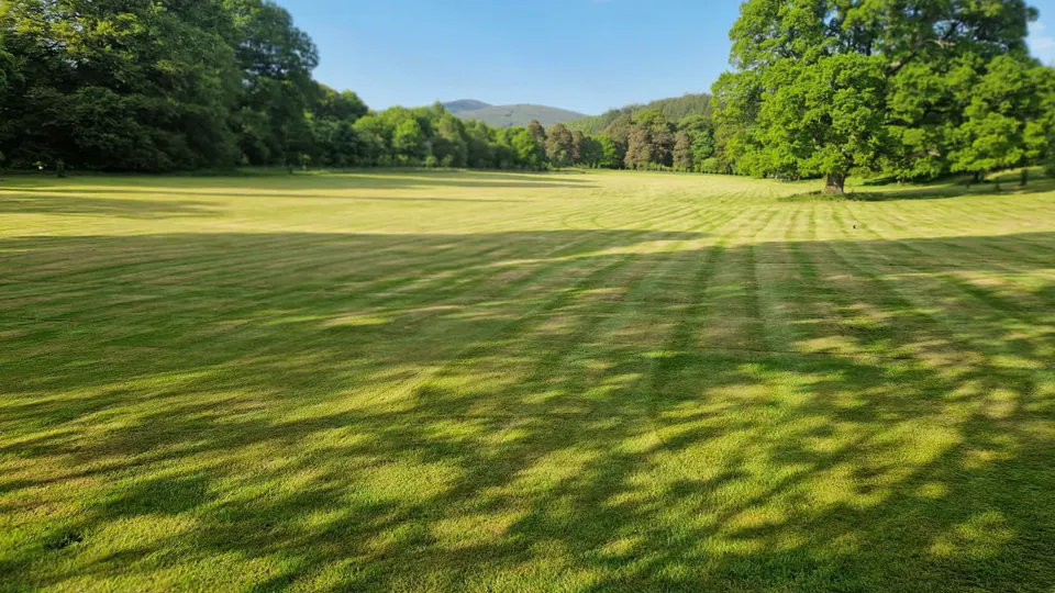 Large striped lawn maintained among mature trees